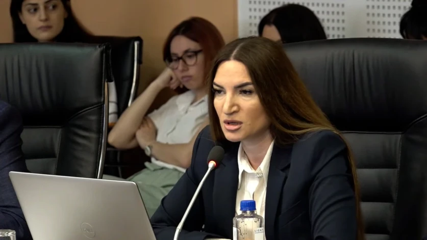 Տեր Օշինի փաստաբանին վարույթին մասնակցելուց ազատել են