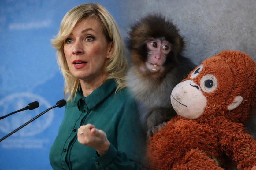 Զախարովան մեկնաբանել է ճապոնական կենդանաբանական այգում կապիկի հետ տեղի ունեցած միջադեպը