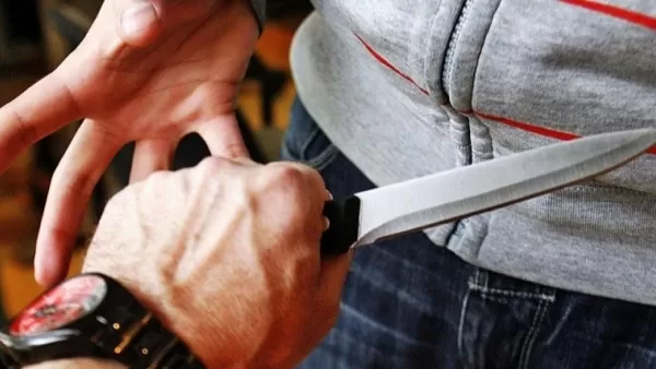 Վեճի ընթացքում դանակով 13 անգամ խփել է տանտիրոջ մարմնին. Ոստիկանություն