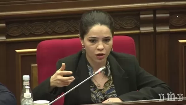 Մի օր էլ կասեն թե մենք ենք ագրեսորը, ոչ թե Ադրբեջանը. «Իմ քայլը»-ի նախկին պատգամավորը` իշխանություններին