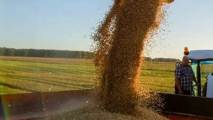 Արցախի կառավարությունը պատրաստ է մթերել ցորենի բերքը` անկախ քանակից