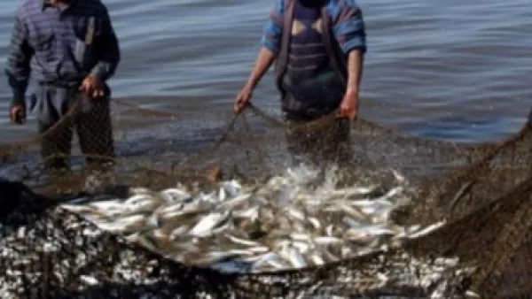 Արձանագրվել է ապօրինի ձկնորսության 11 դեպք, որից 10-ով հաշվարկվել է 507.500 ՀՀ դրամի վնաս