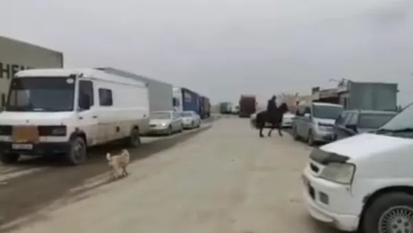 ՏԵՍԱՆՅՈՒԹ․ Մեքենան 3 ժամ ստուգում են․ ինչ իրավիճակ է Ղրղզստան-Ղազախստան սահմանային անցակետում