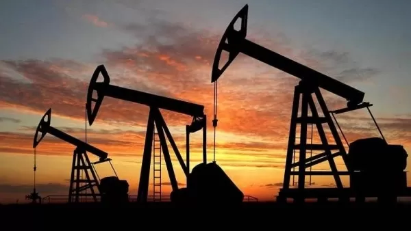 Նավթի նոր պաշարներ են հայտնաբերվել Եգիպտոսում