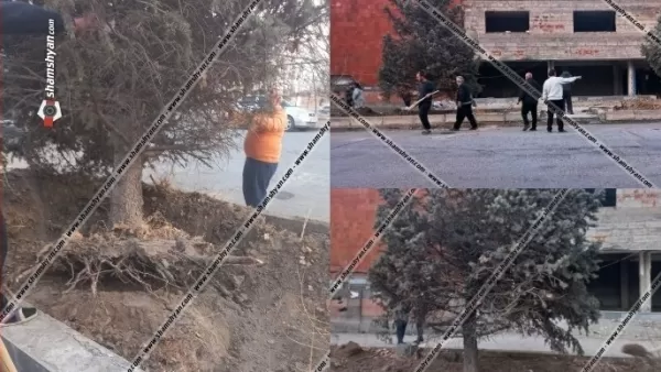  «Ինչպես ճանճին հեռացնել եղևնու վրայից». ոստիկանական օպերացիա Արմավիրում. եղևնիները գողացողը գեներալի եղբայր է. Shamshyan. com