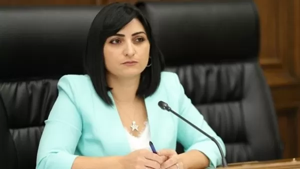 Պատգամավորը՝  Ադրբեջանի կողմից Արայիկ Հարությունյանի նկատմամբ քրեական հետապնդման մասին