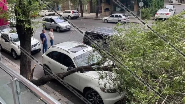 ՏԵՍԱՆՅՈՒԹ. Ինչպես է Երևանում քամու հետևանքով ծառի մի հատվածն ընկնում մեքենայի վրա