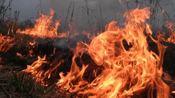  Գիշերը Հացավան գյուղի դաշտերում այրվել է  15 հա խոտածածկույթ. հրդեհը մարվել է