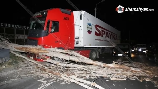Դարն ապրած ծառի տապալման պատճառով վնասվել է «Սպայկա» ընկերությանը պատկանող Volvo մակնիշի մեքենան