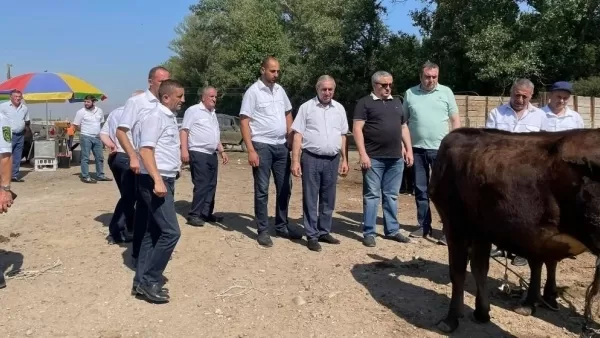 Մարտունու անասնաշուկայում սիբիրախտով հիվանդ կենդանիներ չեն հայտնաբերվել. ՍԱՏՄ