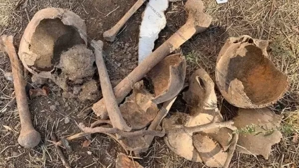 ՏԵՍԱՆՅՈՒԹ. Մարդկային ոսկորներ ու գանգեր են հայտնաբերվել Միքայելյան ինստիտուտի բակում 