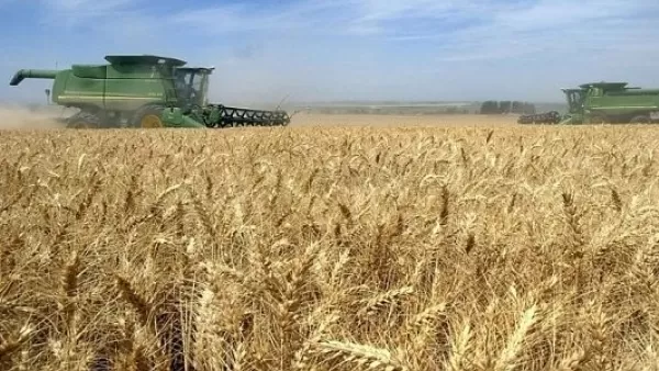 Ներմուծվող ցորենի 99%-ը ՌԴ-ից է. Հայաստանի ապրանքային «կախվածությունը» ռուսական շուկայից՝ թվերով. Հետք