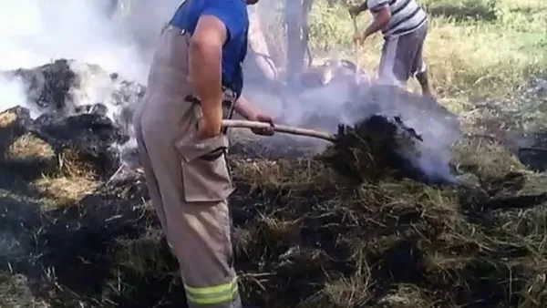 ՏԵՍԱՆՅՈՒԹ․ հրդեհ Գոռավան գյուղում. այրվել է անասնակեր, ջերմահարվել են ծառեր 