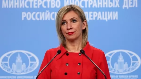 Զախարովան` լրագրողի սպանության մասին 