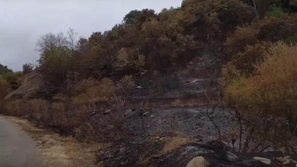 Լեհվազի մոտակա անտառում հրդեհը բռնկվել է 21 և 9-ամյա բնակիչների կողմից խորովածի կրակ վառելու հետևանքով