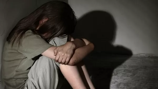 Երևանում 10-ամյա աղջնակի նկատմամբ սեռական բնույթի գործողություններ կատարած անձը ձերբակալվել է. Shamshyan.com