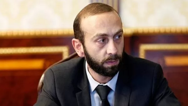 Երկրներ կան, որոնց կողմից ակնկալիքները, ցավոք, չեն արդարացել․ Արարատ Միրզոյան 