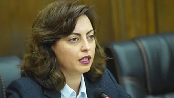 Քիչ առաջ Ազգային ժողովում ընդունեցինք Ֆրանսիայի պատգամավորներին ու ամեն ինչ ասել ենք. Նազարյան 