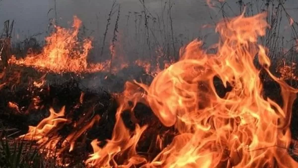 Հրդեհ Սարուխան գյուղում, այրվել է 1000 հակ անասնակեր