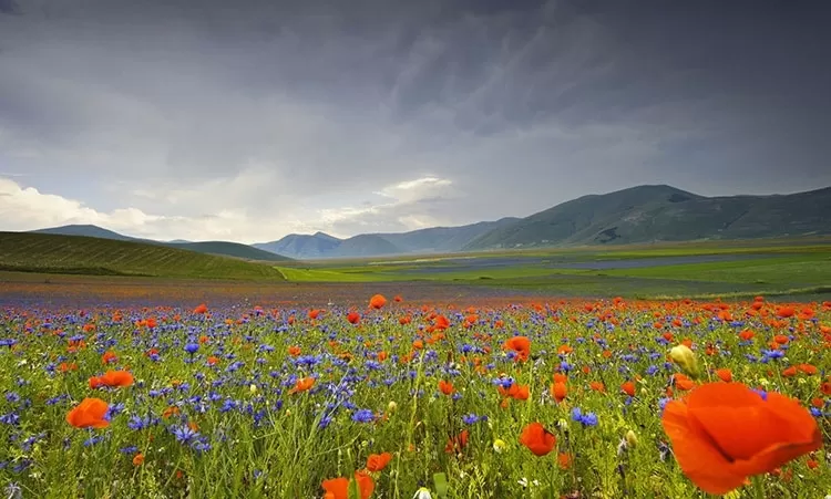 Անձրևն ու արևը կհաջորդեն միմյանց. օդերևութաբաններից կանխատեսումներ