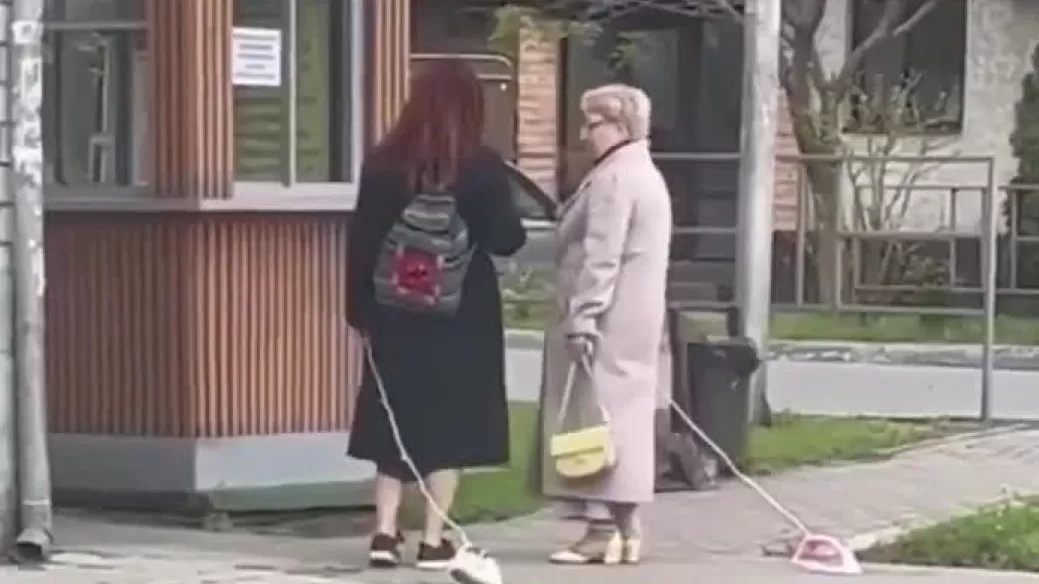 ՏԵՍԱՆՅՈՒԹ․ Կանայք ընտանի կենդանիների փոխարեն արդուկով են քայլում․ ՌԴ