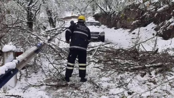 Հաղարծին տանող ճանապարհը պոկված ծառերի պատճառով արգելափակվել է