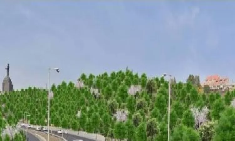 Քաղաքապետարանը սկսում է կանաչապատել Սարալանջի համայնքապատկան հողերը