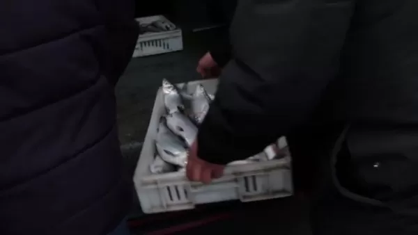 ՏԵՍԱՆՅՈՒԹ․ Երևանի մայթեզրերին հայտնաբերվել է ձկան վաճառք, որն անմիջապես կասեցվել է