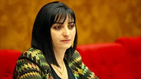 Սահմանն ինչու է թուրքը գծում, եթե պայմանավորվածությունը եռակողմ է․ Թագուհի Թովմասյան