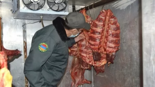 ԳՈւՄ-ի շուկային հարող տարածքի մսի իրացման տաղավարներից մի քանիսում չեն պահպանվել սանիտարահիգիենիկ նորմերը