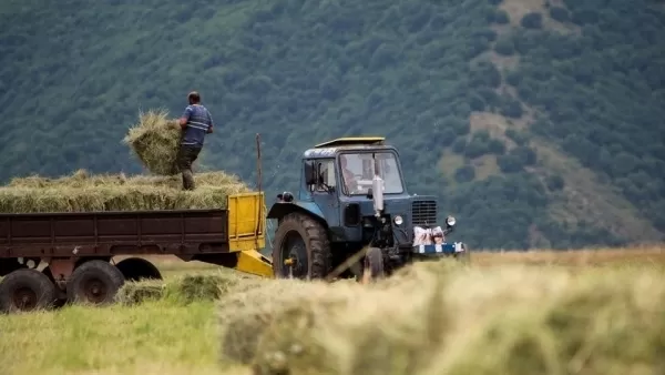 4 հազար դրամ մեկ օրվա գյուղացիական աշխատանքների դիմաց. Նոր ծրագիր 