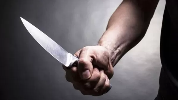 67-ամյա կնոջը դանակի բազմաթիվ հարվածներ հասցրել է եղբոր թոռը. նոր մանրամասներ