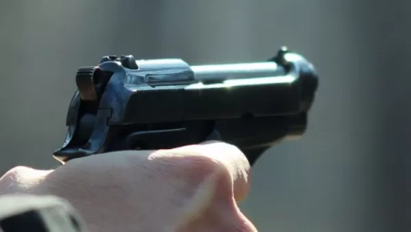 Կրակոցներ Սյունիքի մարզում. պաշտոնատար անձ է բերման ենթարկվել 