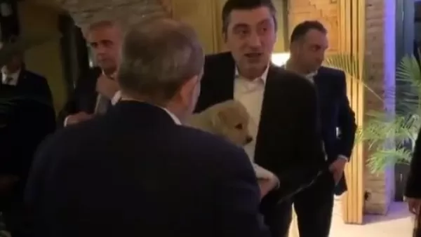 ՏԵՍԱՆՅՈՒԹ. Ինչպես է Վրաստանի վարչապետը Փաշինյանին շուն նվիրում