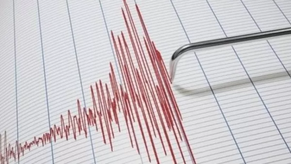 Երկրաշարժ՝ Վրաստան-Հայաստան սահմանային գոտու մերձակայքում