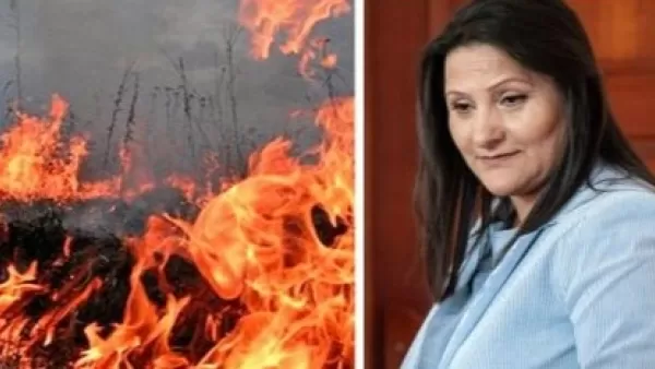 Մանվել Գրիգորյանի կնոջը պատկանող հողատարածքն այրվել է. Սպուտնիկ Արմենիա