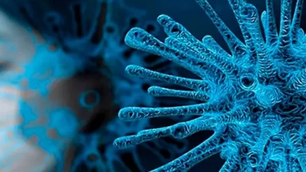 Համավարակի ամենասուր պահը մոտենում է ավարտին․ Bloomberg