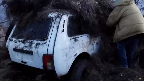 ՏԵՍԱՆՅՈՒԹ. Ավտոմեքենան փախցրել ու թաքցրել են խոտի դեզի տակ. ոստիկանների բացահայտումը