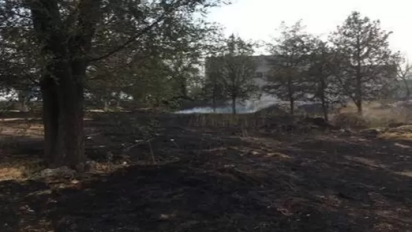ՏԵՍԱՆՅՈՒԹ. «Եռաբլուրի» տարածքում բռնկված հրդեհը մարվել է. այրվել է 20 ծառ