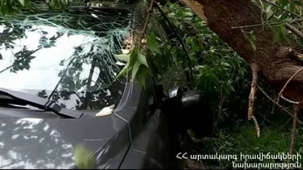 Երևանում ուժգին քամուց ծառեր են պոկվել, ընկել մեքենաների վրա