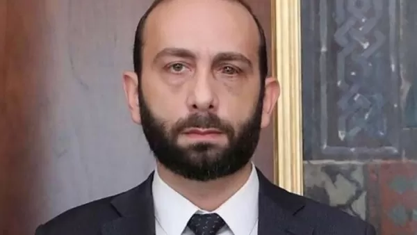 2 տարի անց Արարատ Միրզոյանի ծեծի գործը դոփում է տեղում. «Ժողովուրդ»