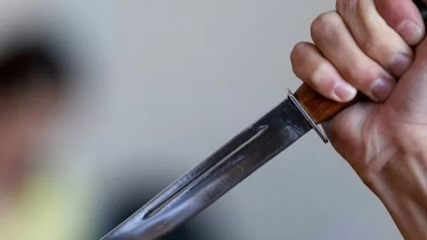 Երևանում 23-ամյա աղջիկը դանակահարել է ընկերոջը
