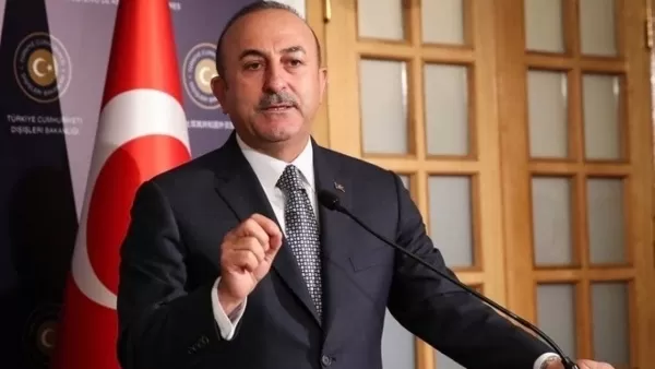 Չավուշօղլուն` թուրք զինվորականներին Ուկրաինա ուղարկելու լուրի մասին