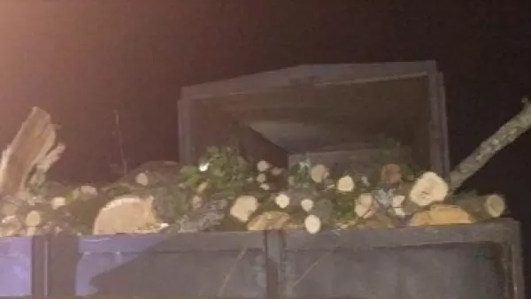 Կապան-Գորիս ճանապարհին ապօրինի փայտանյութ են տեղափոխել 