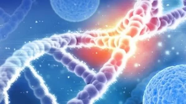 ԴՆԹ հետազոտություններն արագացնելու համար պետությունը ձեռք է բերում երկրորդ սարքավորումը