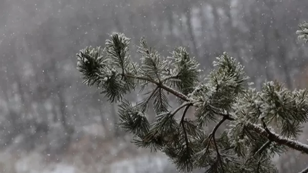 Աշոցքի և Արագածի տարածաշրջաններում ձյուն է տեղում