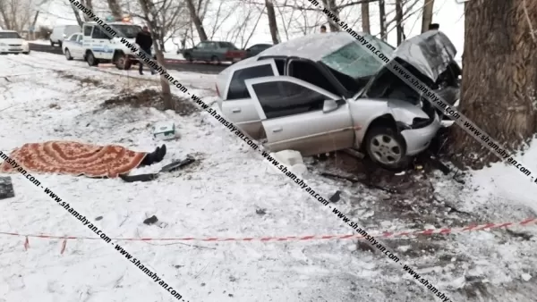 Ողբերգական ավտովթար Գեղարքունիքի մարզում. 59-ամյա վարորդը Opel-ով բախվել է ծառին. ուղևորը տեղում մահացել է