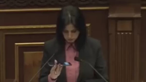 ՏԵՍԱՆՅՈՒԹ․ Արեգնազ Մանուկյանն իր ելույթի ժամանակ ձայնագրություն միացրեց
