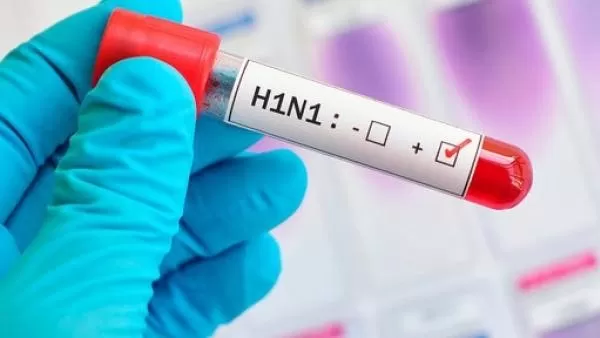 Արցախում շրջանառվում է գրիպի Ա տեսակի H1N1 ենթատեսակը և գրիպի Բ տեսակի հարուցիչներ