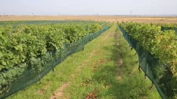 Գյուղատնտեսության ոլորտում շուտով դժգոհությունների մեծ ալիք է բարձրանալու. «Ժողովուրդ»